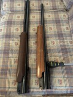 IMG_7158.jpeg