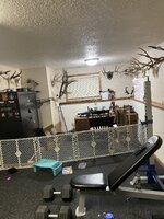 IMG_7014.jpeg