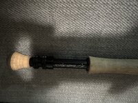 IMG_2847.jpeg