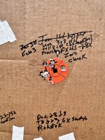 IMG_6181.jpeg