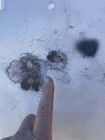 IMG_1825.jpeg