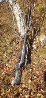 20201018_120737.jpg