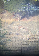 IMG_6211.jpeg IMG_6211.jpeg