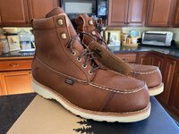 IMG_6668.jpeg