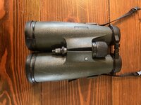 IMG_2419.jpeg