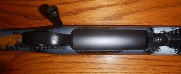 DSCN8174 2.JPG