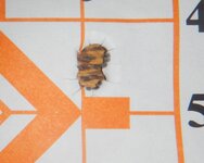 DSCN6956.JPG