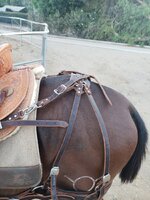 20220810_190942.jpg