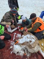 20240203_153402.jpg 20240203_153402.jpg