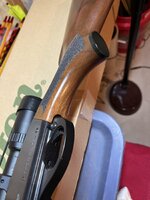 IMG_3470 - Copy.JPG