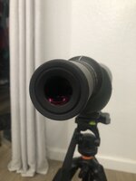 IMG_4965.jpeg