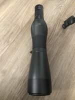 IMG_4966.jpeg