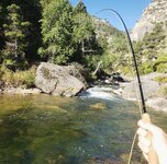 Screenshot_20240208_140120_Instagram.jpg Screenshot_20240208_140120_Instagram.jpg