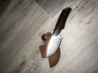 IMG_1368.jpeg