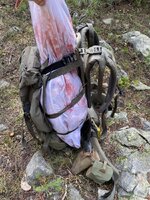 IMG_2488.jpeg