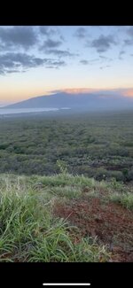 IMG_1609.jpeg