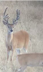 IMG_2584.jpeg