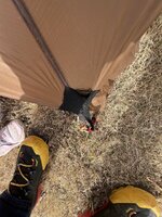 IMG_9209.jpeg