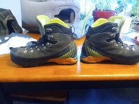 IMG_20240210_173616692.jpg