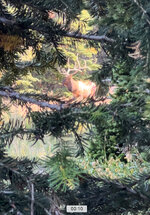IMG_8015.jpeg