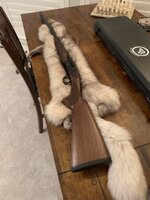 IMG_3865.jpeg