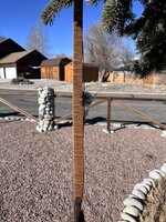 IMG_2686.JPEG
