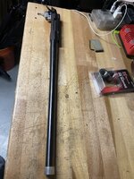 IMG_2304.jpeg