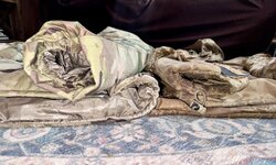 IMG_6455.jpeg IMG_6455.jpeg