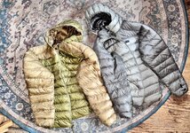 IMG_6446.jpeg IMG_6446.jpeg