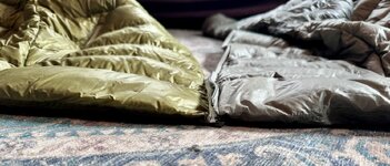 IMG_6450.jpeg IMG_6450.jpeg