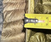 IMG_6449.jpeg IMG_6449.jpeg