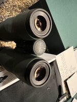 IMG_5298.jpeg