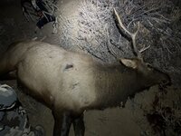IMG_3838.jpeg