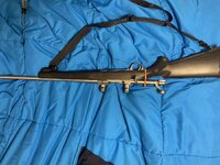 IMG_6177.jpeg