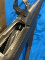 IMG_6174.jpeg