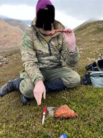 IMG_2076.jpeg IMG_2076.jpeg