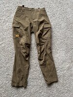 IMG_8207.jpeg