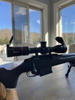 IMG_9745.jpeg IMG_9745.jpeg