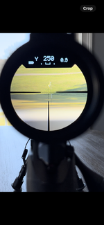 IMG_9762.png IMG_9762.png