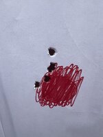 IMG_5186.jpeg
