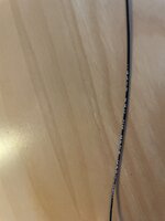 IMG_8303.jpeg