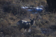 D66725AB-9BA2-4330-966C-8D61D84533E4.jpeg