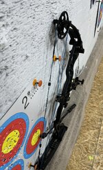 IMG_7954.jpeg