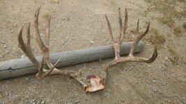 20180919_122412.jpg