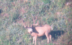 IMG_8741.jpeg