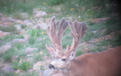 IMG_8729.jpeg