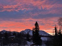 IMG_9446.jpeg