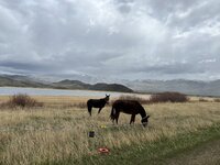 IMG_0387.jpeg