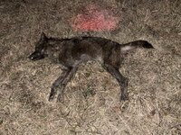 IMG_9098.jpeg