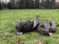 IMG_8846.jpeg